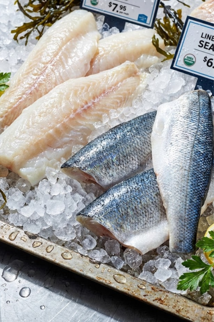 Article Image 2026 01 23T154237.862